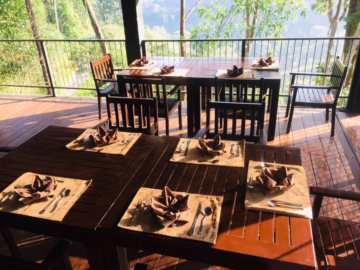 Tea Cottage Resort & Spa Nawalapitiya Buitenkant foto