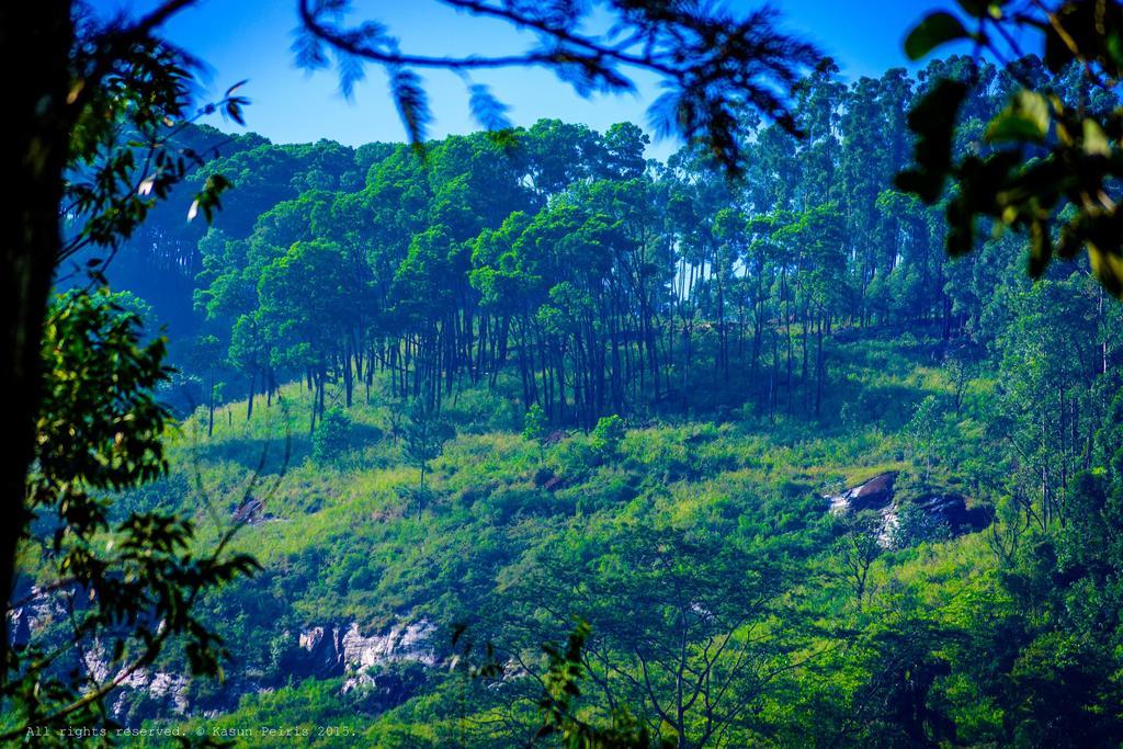 Tea Cottage Resort & Spa Nawalapitiya Buitenkant foto