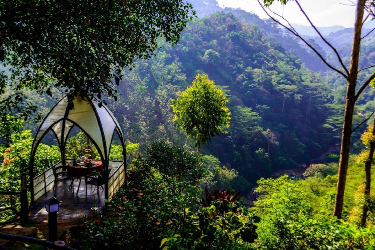 Tea Cottage Resort & Spa Nawalapitiya Buitenkant foto