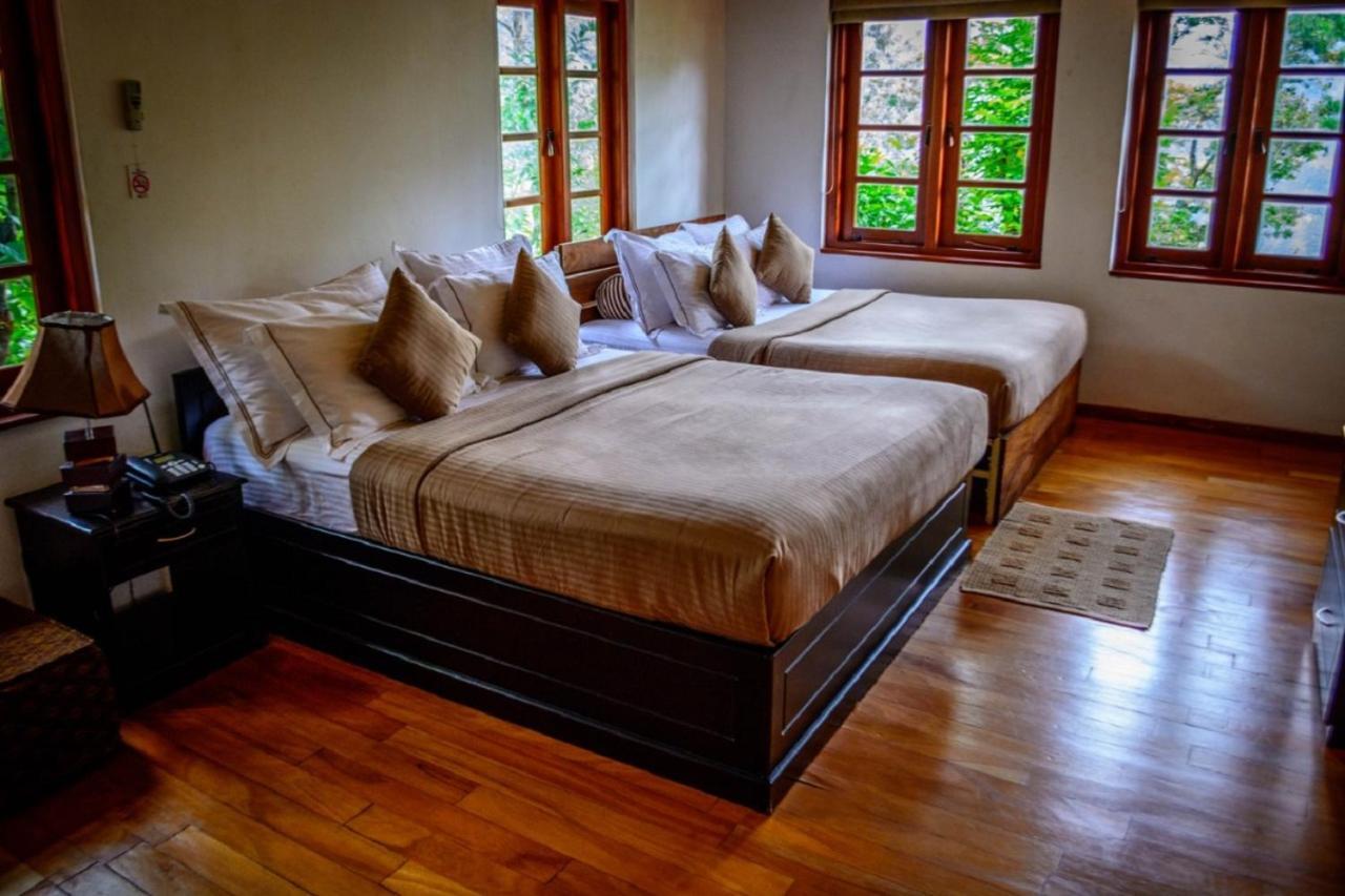 Tea Cottage Resort & Spa Nawalapitiya Buitenkant foto