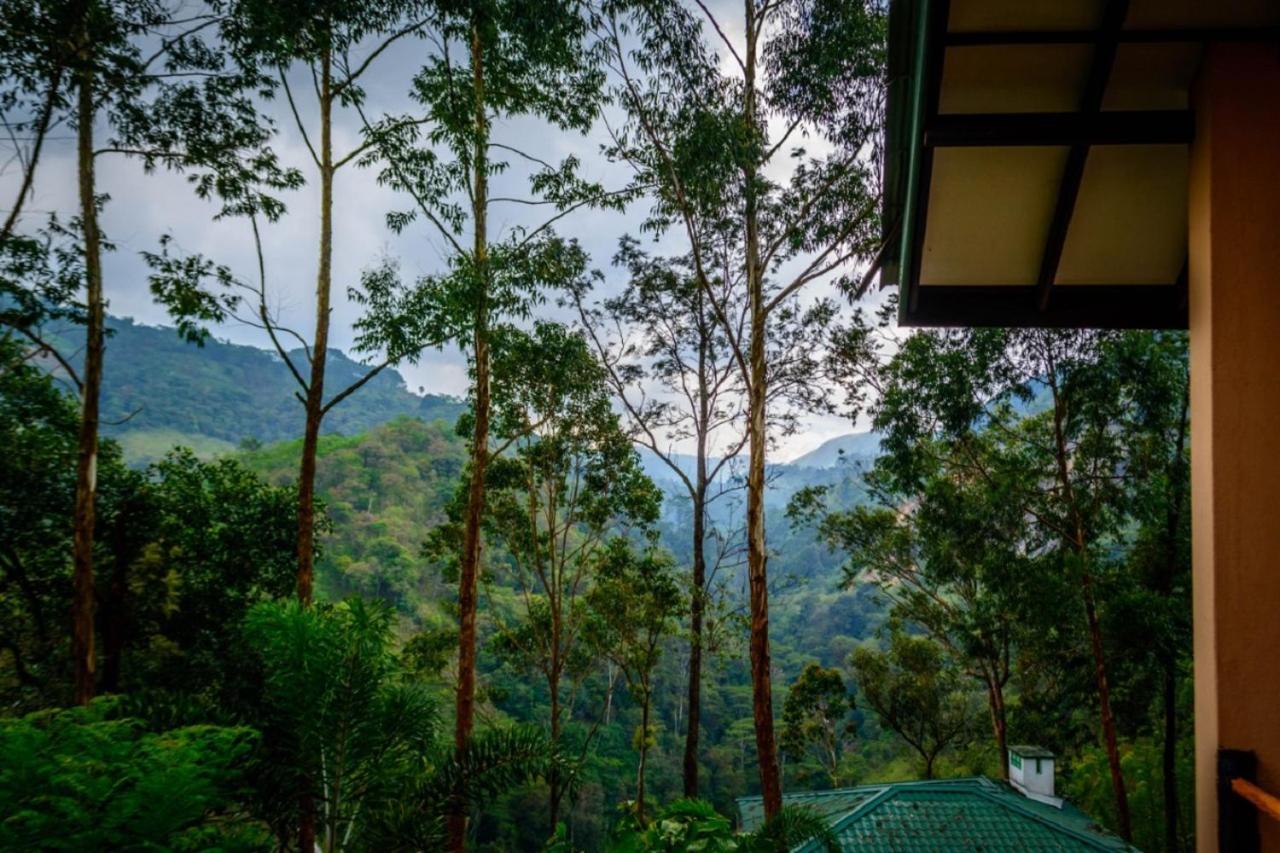 Tea Cottage Resort & Spa Nawalapitiya Buitenkant foto