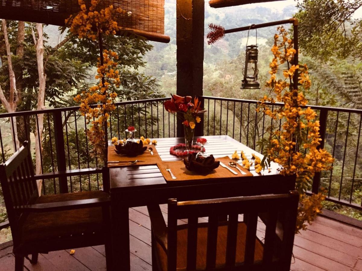 Tea Cottage Resort & Spa Nawalapitiya Buitenkant foto