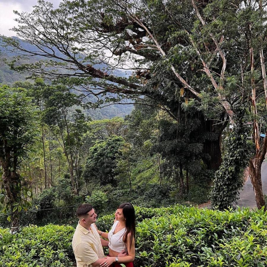 Tea Cottage Resort & Spa Nawalapitiya Buitenkant foto