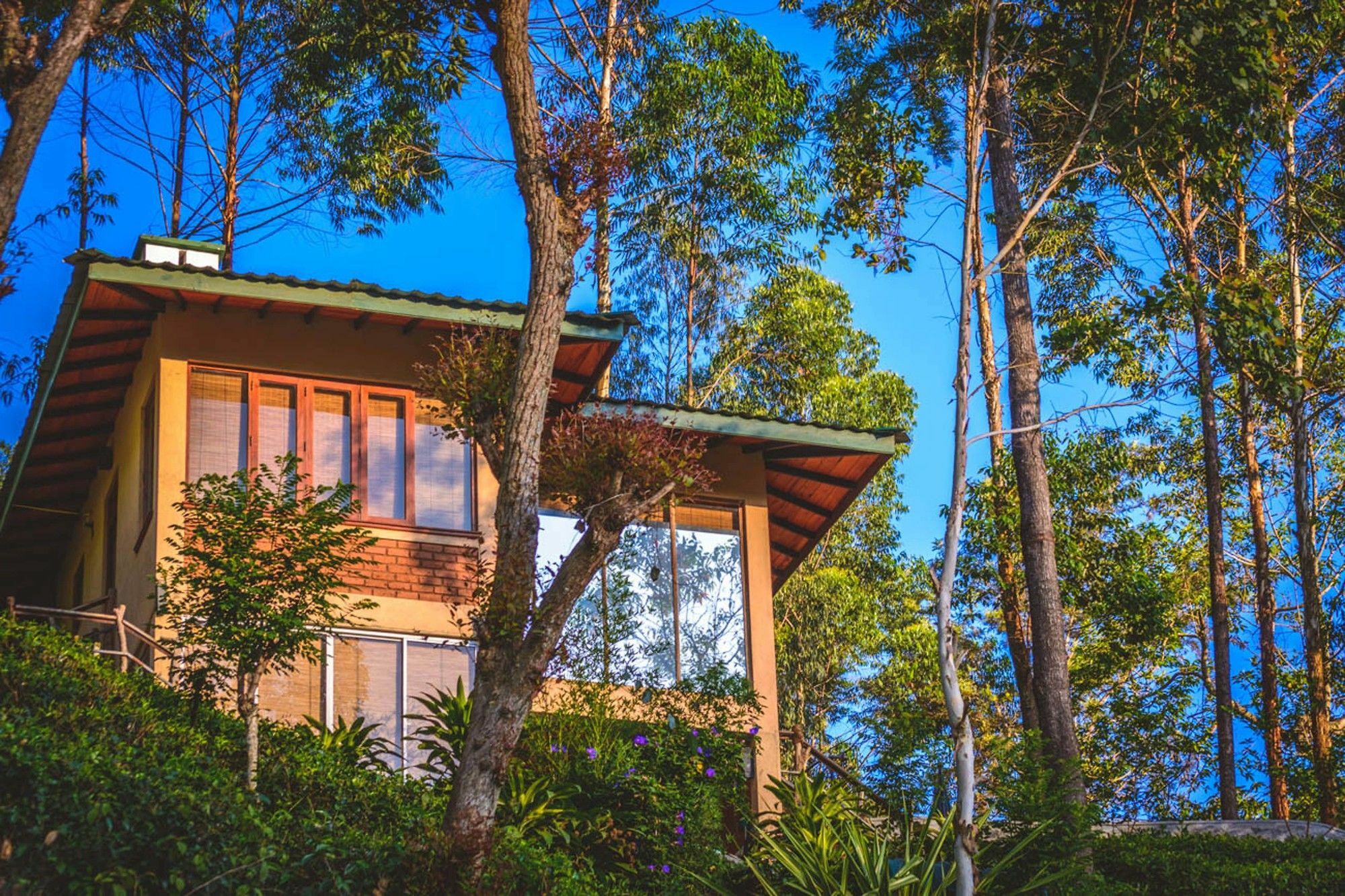 Tea Cottage Resort & Spa Nawalapitiya Buitenkant foto
