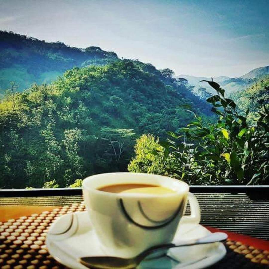 Tea Cottage Resort & Spa Nawalapitiya Buitenkant foto