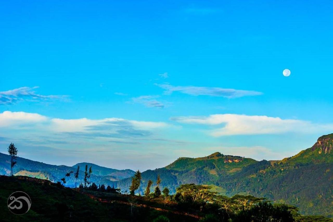 Tea Cottage Resort & Spa Nawalapitiya Buitenkant foto